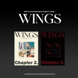BXB – Chapter 2. Wings