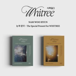 INFINITE: NAM WOO HYUN – 눈부셨다: The Special Present For WHITREE