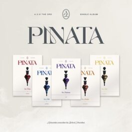 [PREORDER] A.C.E – PINATA